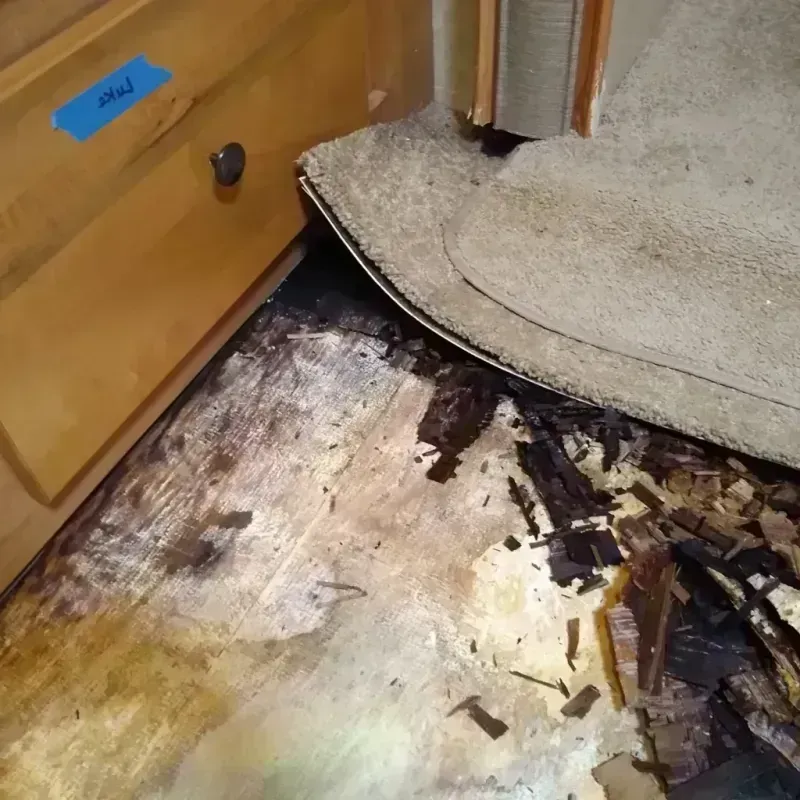 Wood Floor Water Damage in Wayne County, PA